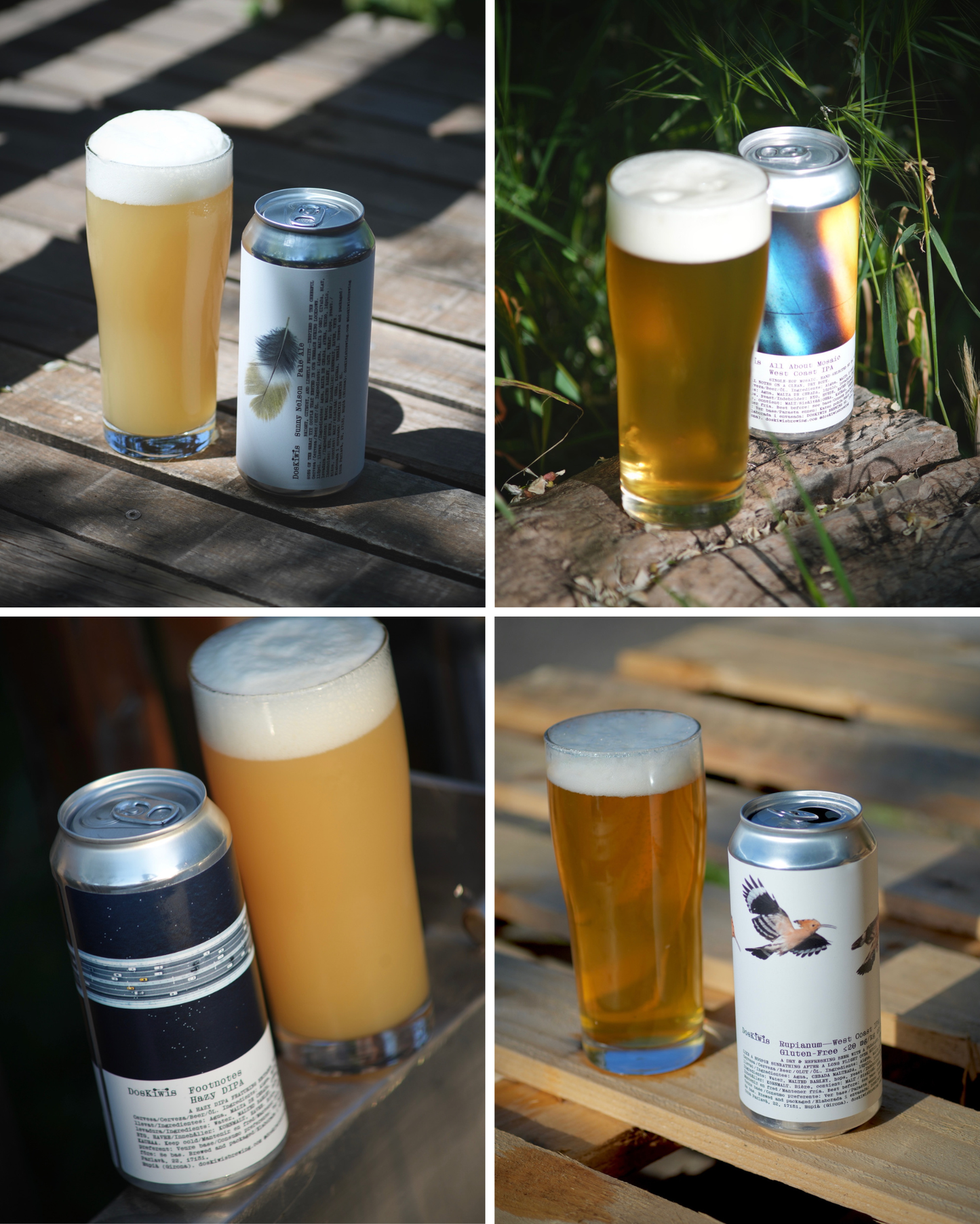 6-Pack: Pack Variat - Últims enllaunats