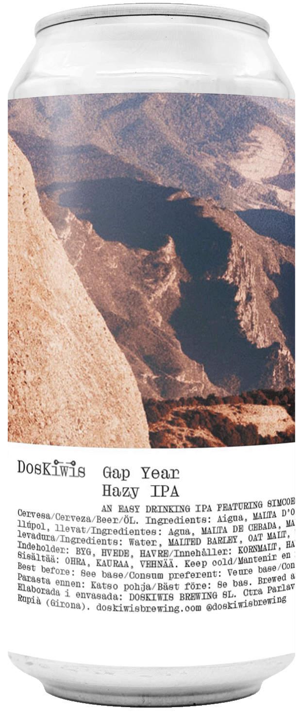 Gap Year
