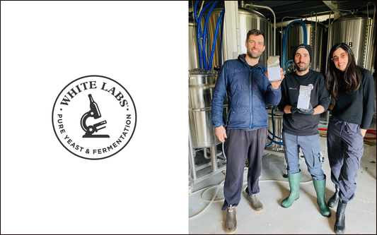 Bestiola: una petita bèstia de Hazy IPA amb EXP666