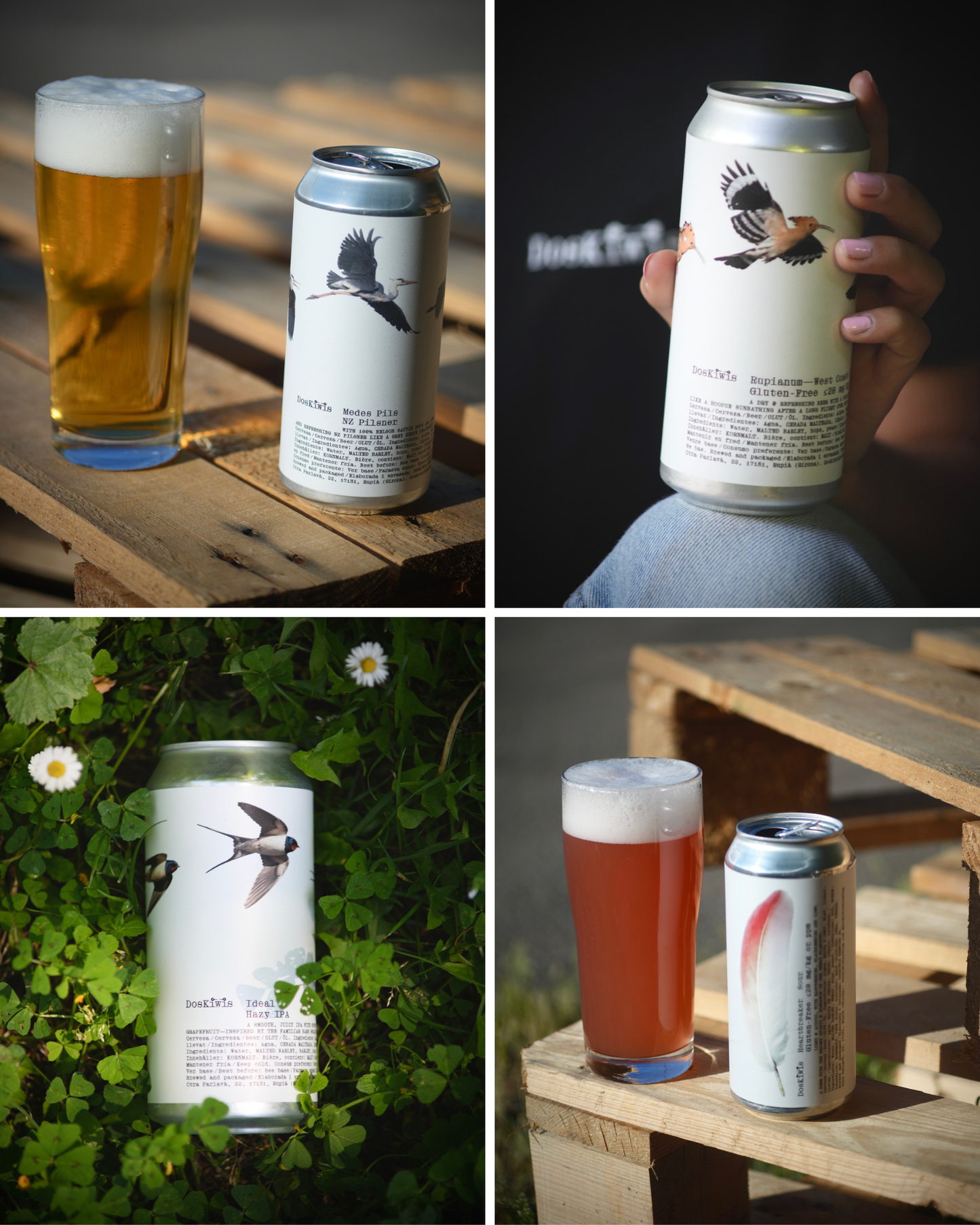 12-Pack: Pack Variat - Cerveses Fixes