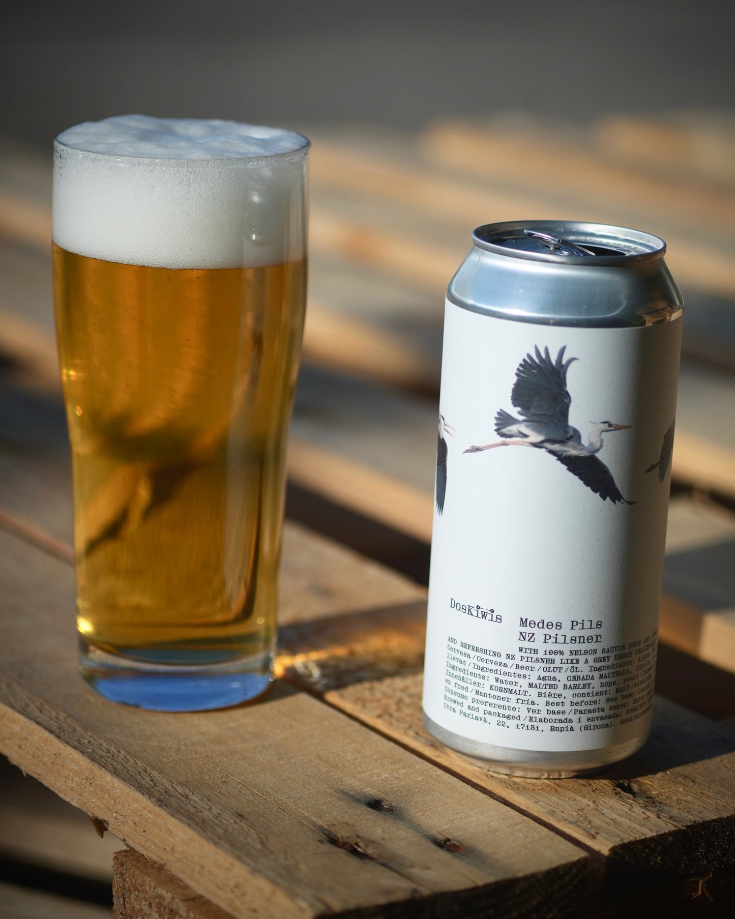 Medes Pils