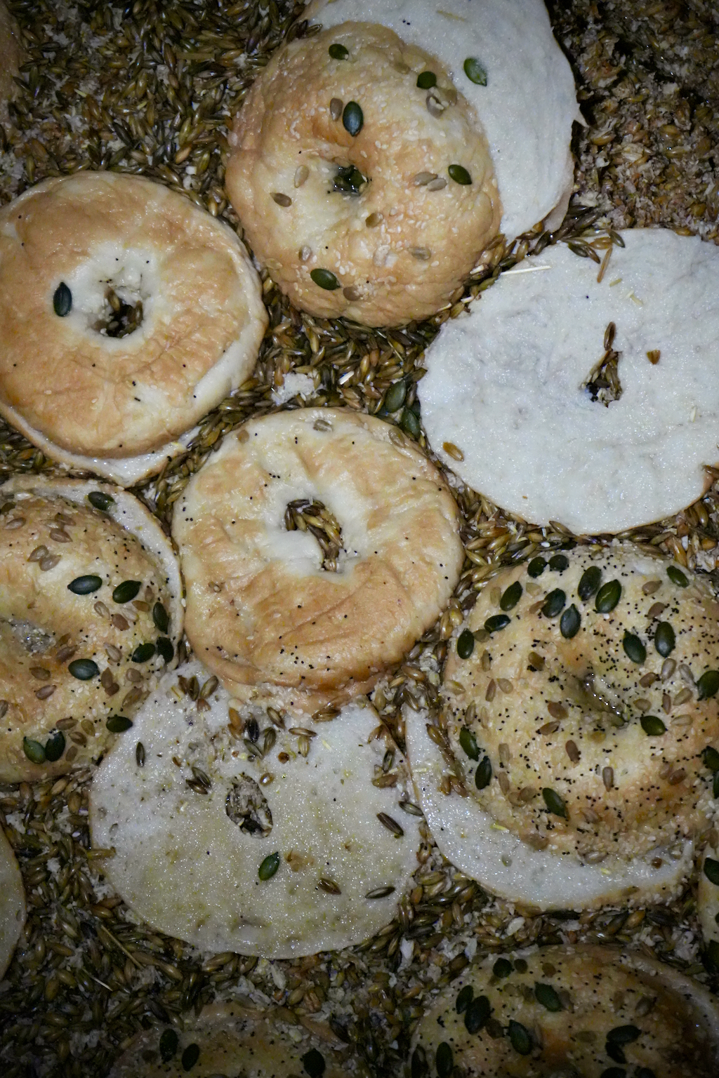 6 Bagels